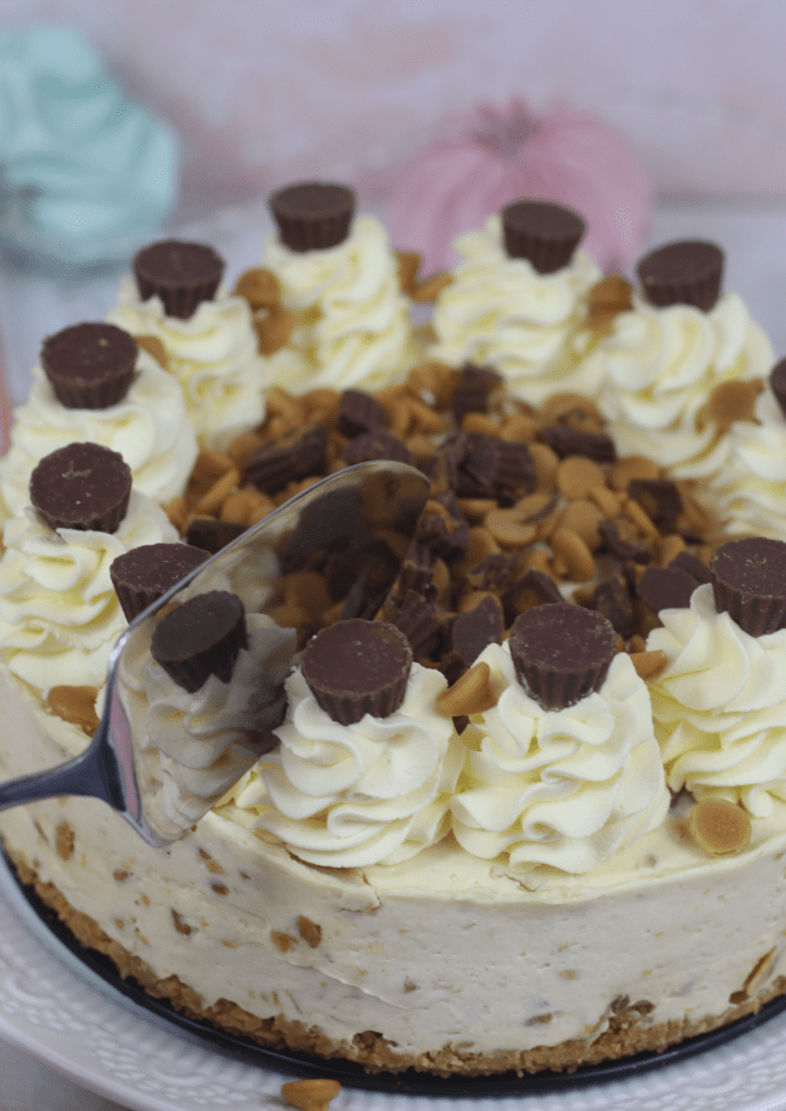 Peanut-Butter-Cheesecake-A-Spoonful-of-Vanilla