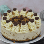 Peanut-Butter-Cheesecake-A-Spoonful-of-Vanilla