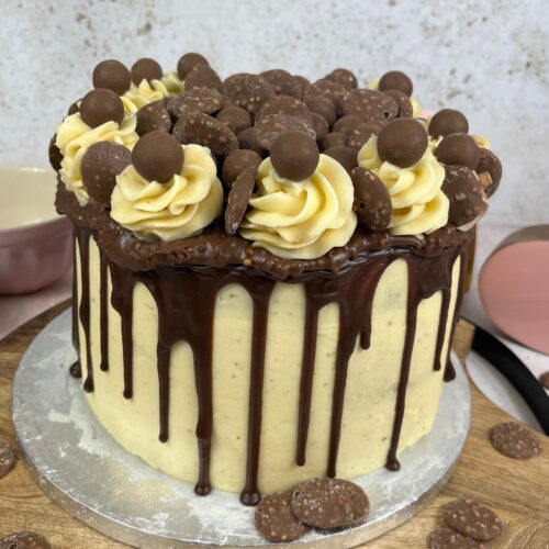Chocolate Drip Cake - One Sarcastic Baker