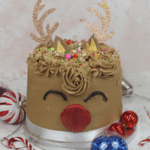 Rudolph Cake